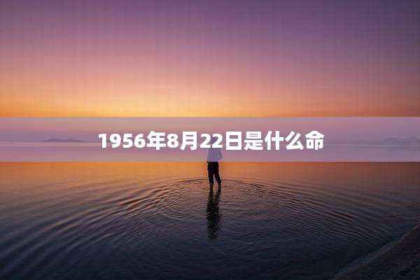 1956年8月22日是什么命