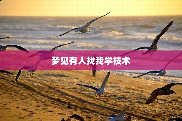 梦见有人找我学技术