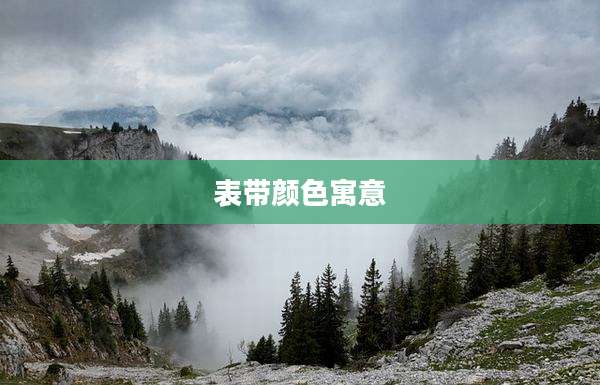 表带颜色寓意