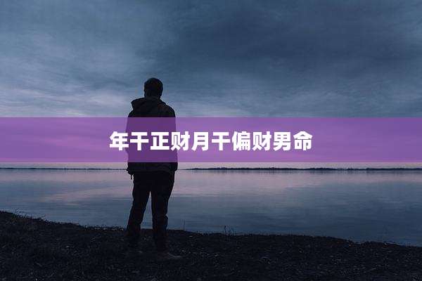年干正财月干偏财男命