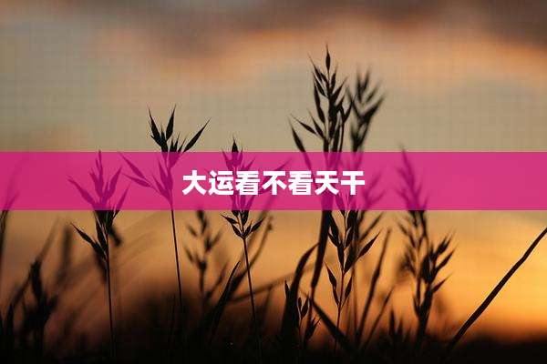 大运看不看天干