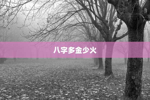 八字多金少火