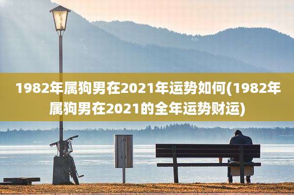 1982年属狗男在2021年运势如何(1982年属狗男在2021的全年运势财运)