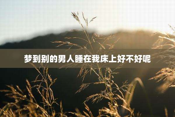 梦到别的男人睡在我床上好不好呢
