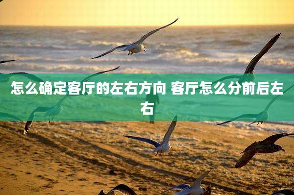 怎么确定客厅的左右方向 客厅怎么分前后左右