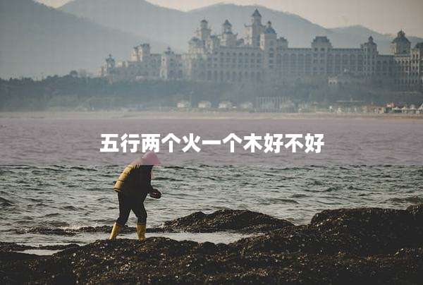 五行两个火一个木好不好