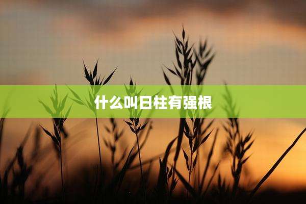 什么叫日柱有强根
