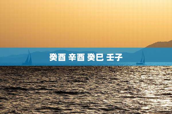 癸酉 辛酉 癸巳 壬子