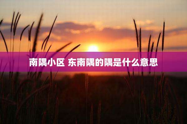 南隅小区 东南隅的隅是什么意思