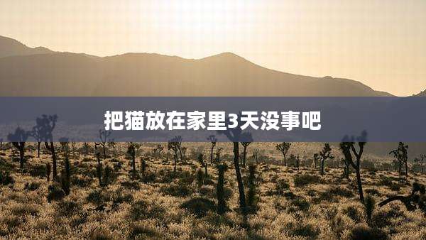 把猫放在家里3天没事吧