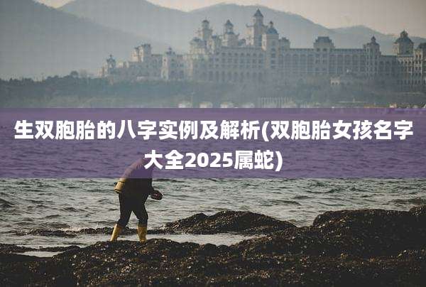 生双胞胎的八字实例及解析(双胞胎女孩名字大全2025属蛇)