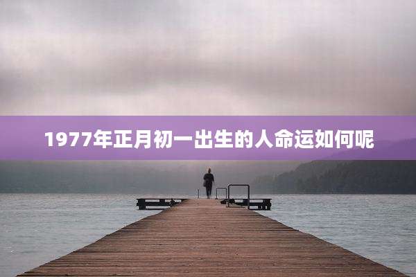 1977年正月初一出生的人命运如何呢