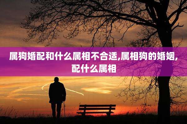 属狗婚配和什么属相不合适,属相狗的婚姻,配什么属相