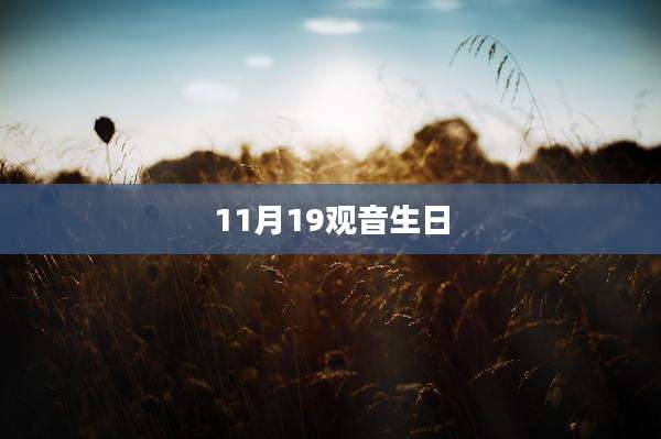 11月19观音生日