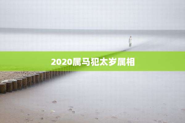 2020属马犯太岁属相