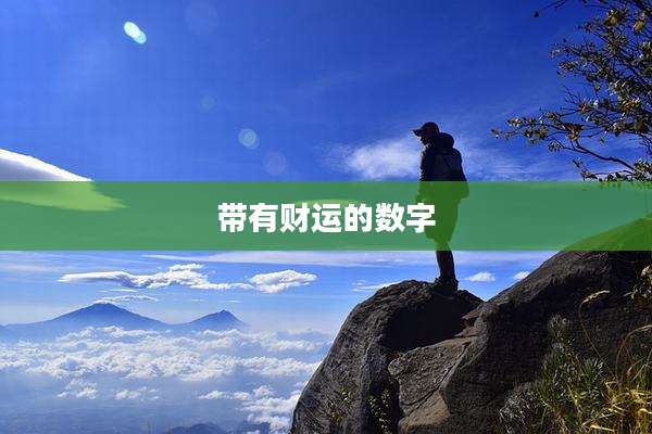 带有财运的数字