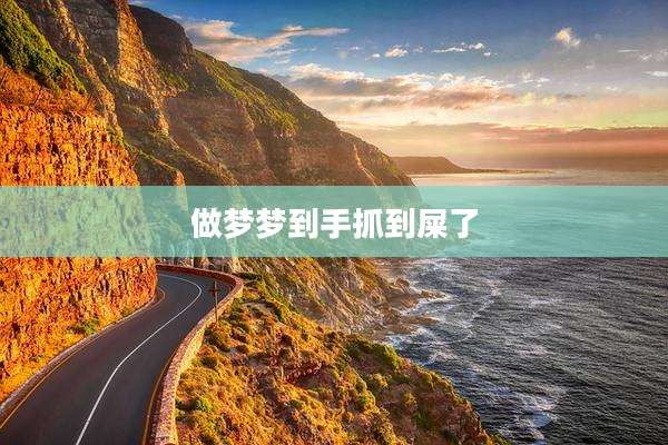 做梦梦到手抓到屎了