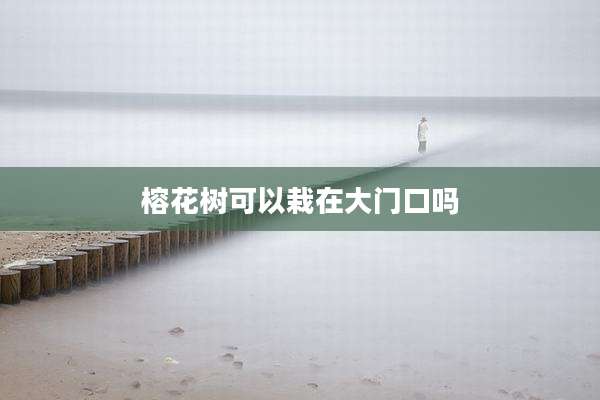 榕花树可以栽在大门口吗