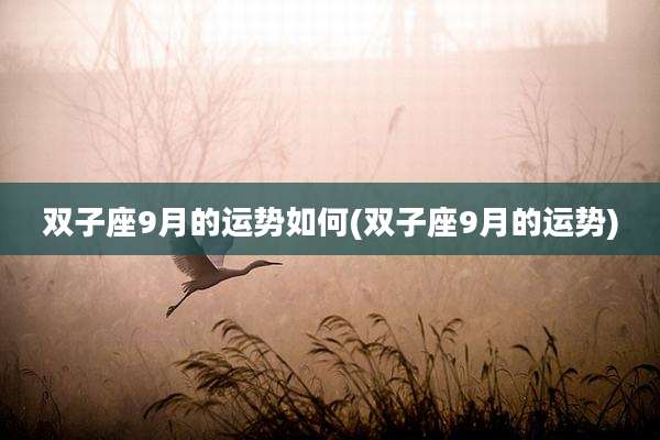双子座9月的运势如何(双子座9月的运势)