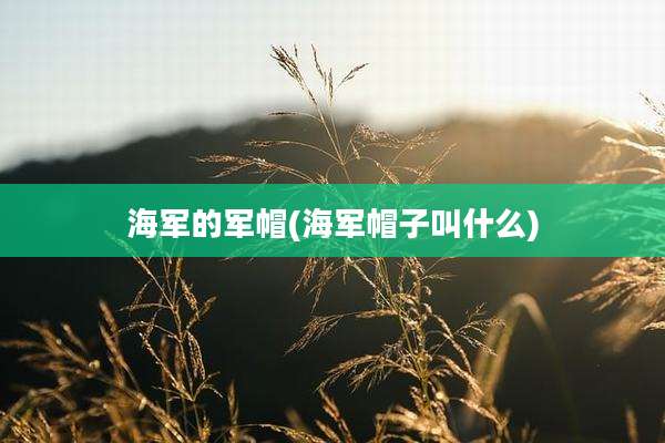 海军的军帽(海军帽子叫什么)