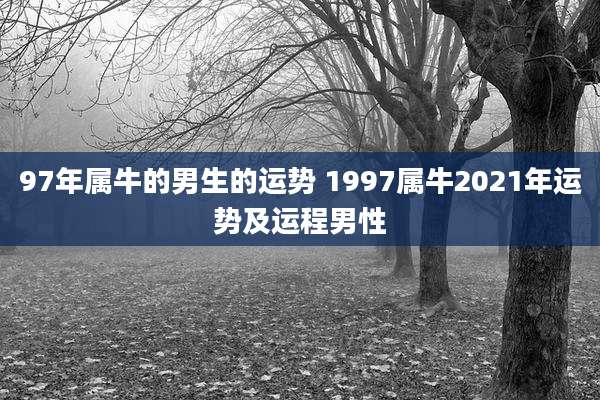 97年属牛的男生的运势 1997属牛2021年运势及运程男性