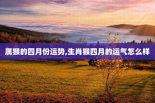 属猴的四月份运势,生肖猴四月的运气怎么样