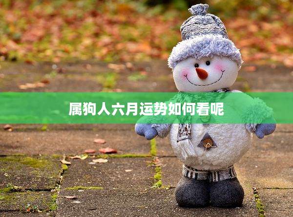属狗人六月运势如何看呢