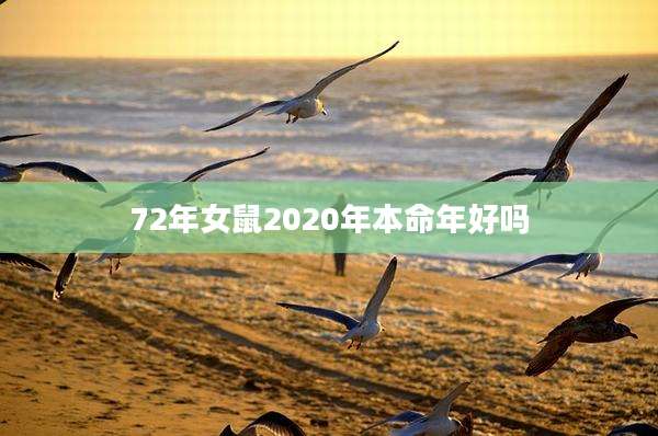 72年女鼠2020年本命年好吗