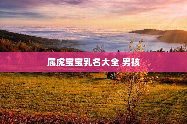 属虎宝宝乳名大全 男孩
