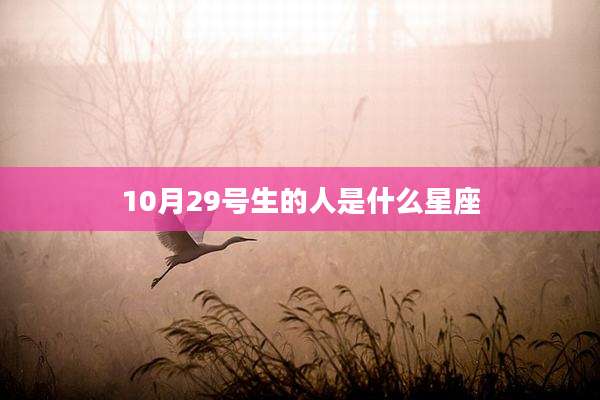 10月29号生的人是什么星座