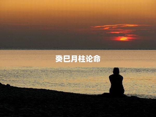 癸巳月柱论命