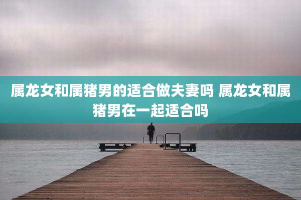 属龙女和属猪男的适合做夫妻吗 属龙女和属猪男在一起适合吗
