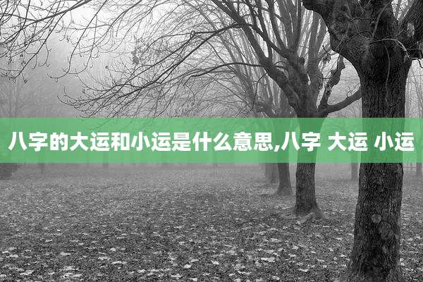 八字的大运和小运是什么意思,八字 大运 小运