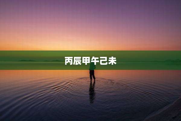 丙辰甲午己未