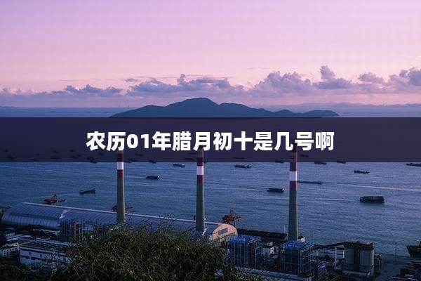 农历01年腊月初十是几号啊