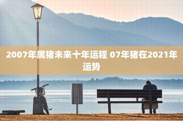 2007年属猪未来十年运程 07年猪在2021年运势