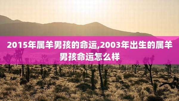 2015年属羊男孩的命运,2003年出生的属羊男孩命运怎么样