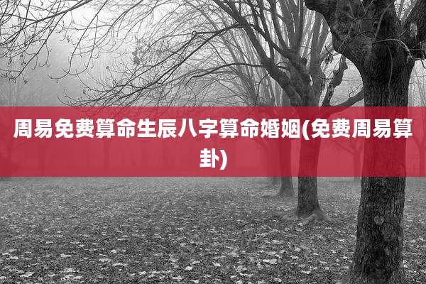 周易免费算命生辰八字算命婚姻(免费周易算卦)