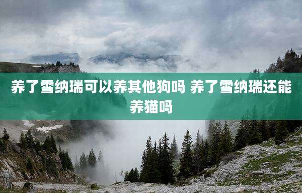 养了雪纳瑞可以养其他狗吗 养了雪纳瑞还能养猫吗
