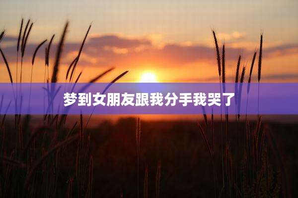 梦到女朋友跟我分手我哭了