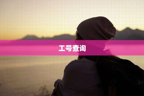 工号查询