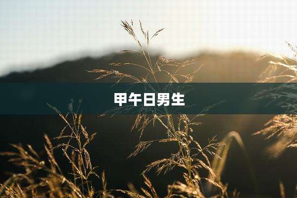 甲午日男生