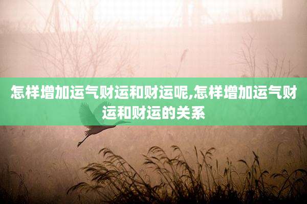怎样增加运气财运和财运呢,怎样增加运气财运和财运的关系
