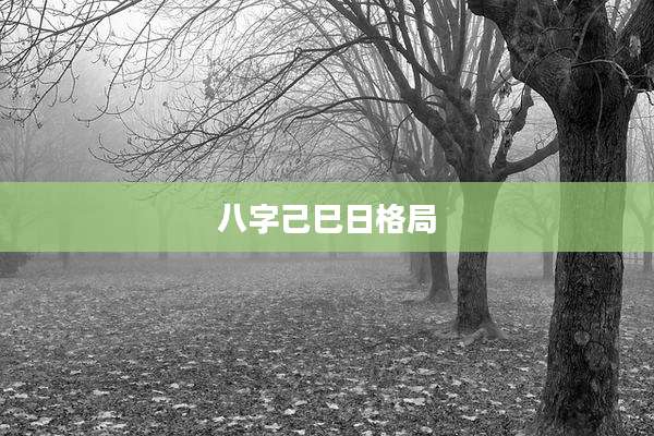 八字己巳日格局