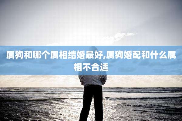属狗和哪个属相结婚最好,属狗婚配和什么属相不合适