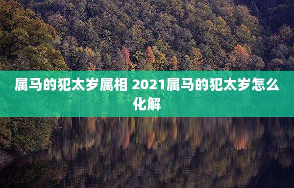 属马的犯太岁属相 2021属马的犯太岁怎么化解