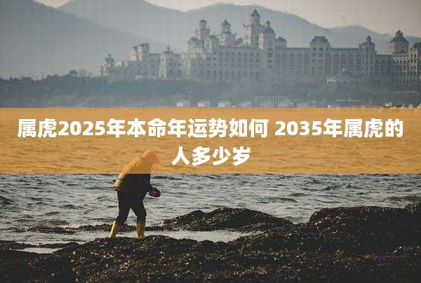 属虎2025年本命年运势如何 2035年属虎的人多少岁
