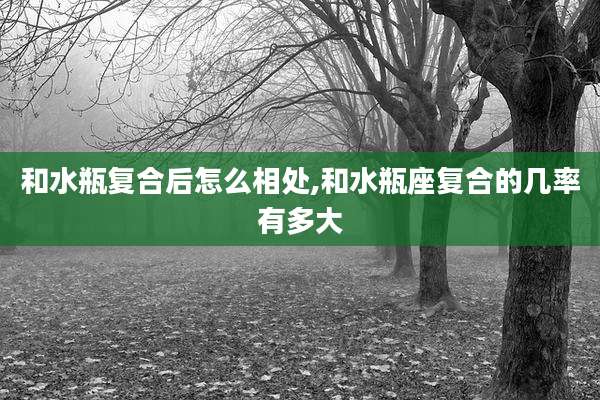 和水瓶复合后怎么相处,和水瓶座复合的几率有多大