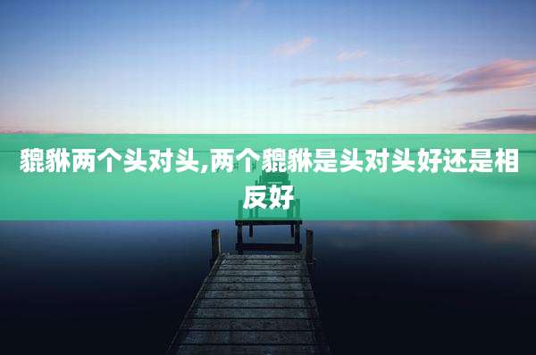 貔貅两个头对头,两个貔貅是头对头好还是相反好