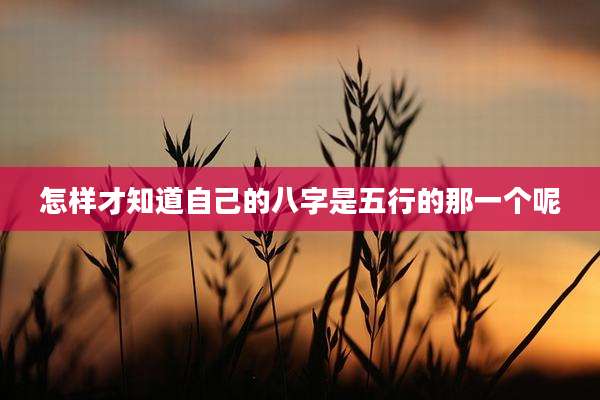 怎样才知道自己的八字是五行的那一个呢
